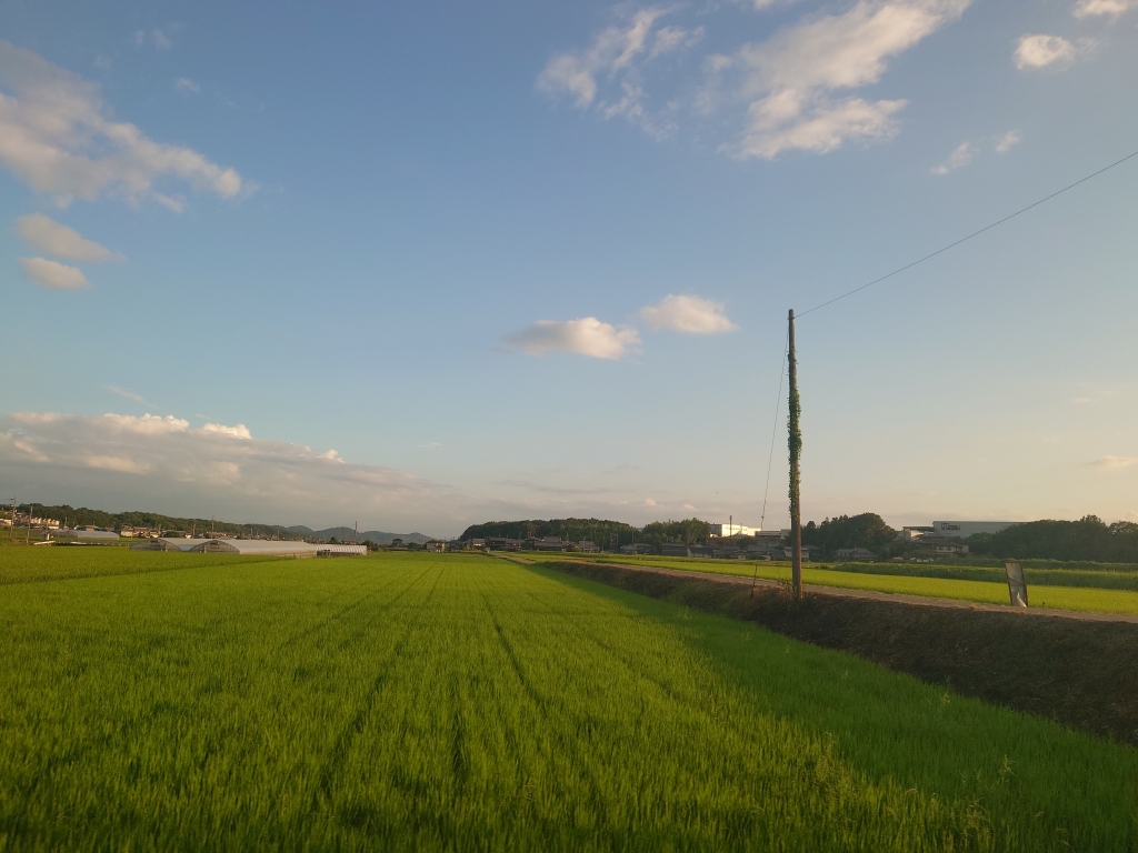 実家へ帰省しました