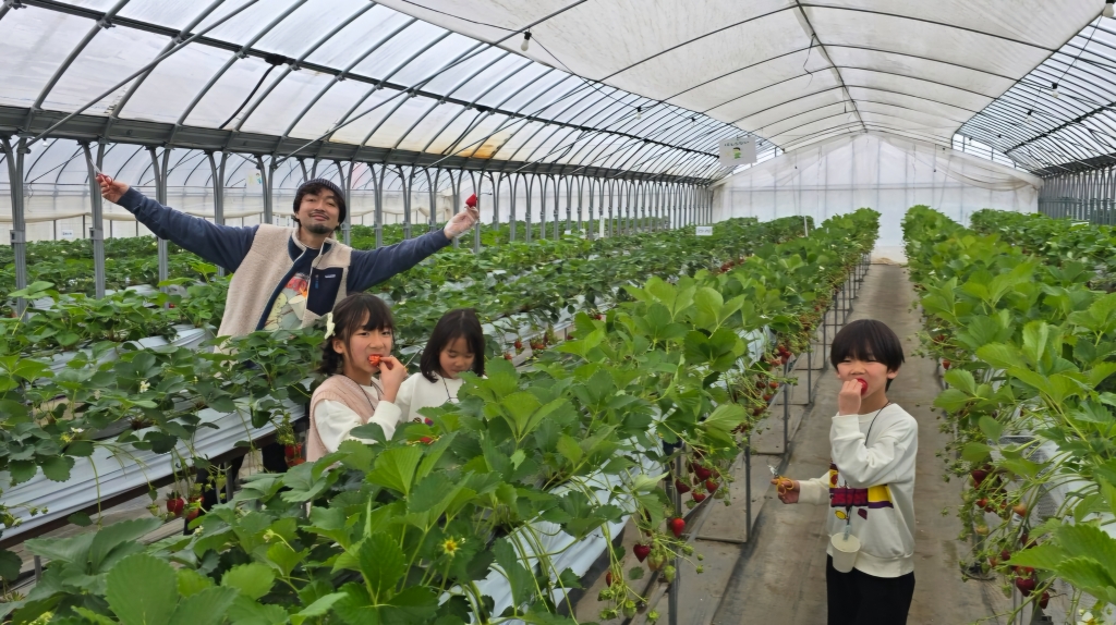 いちご狩り