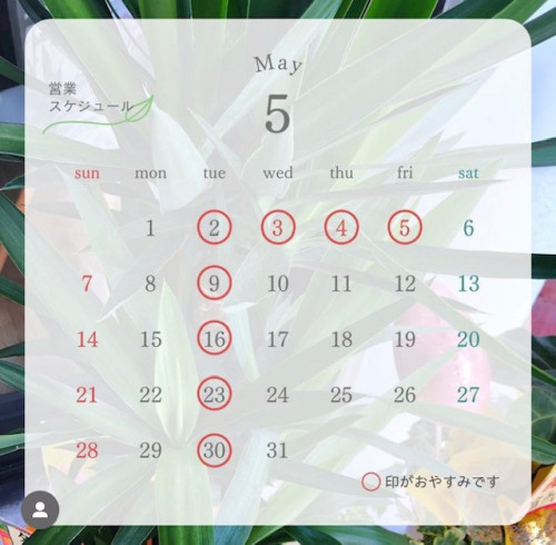 5月の営業日案内　（Working day of May 2023）