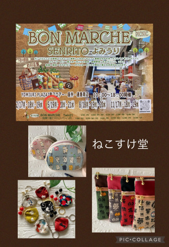 IMG_8490.jpeg