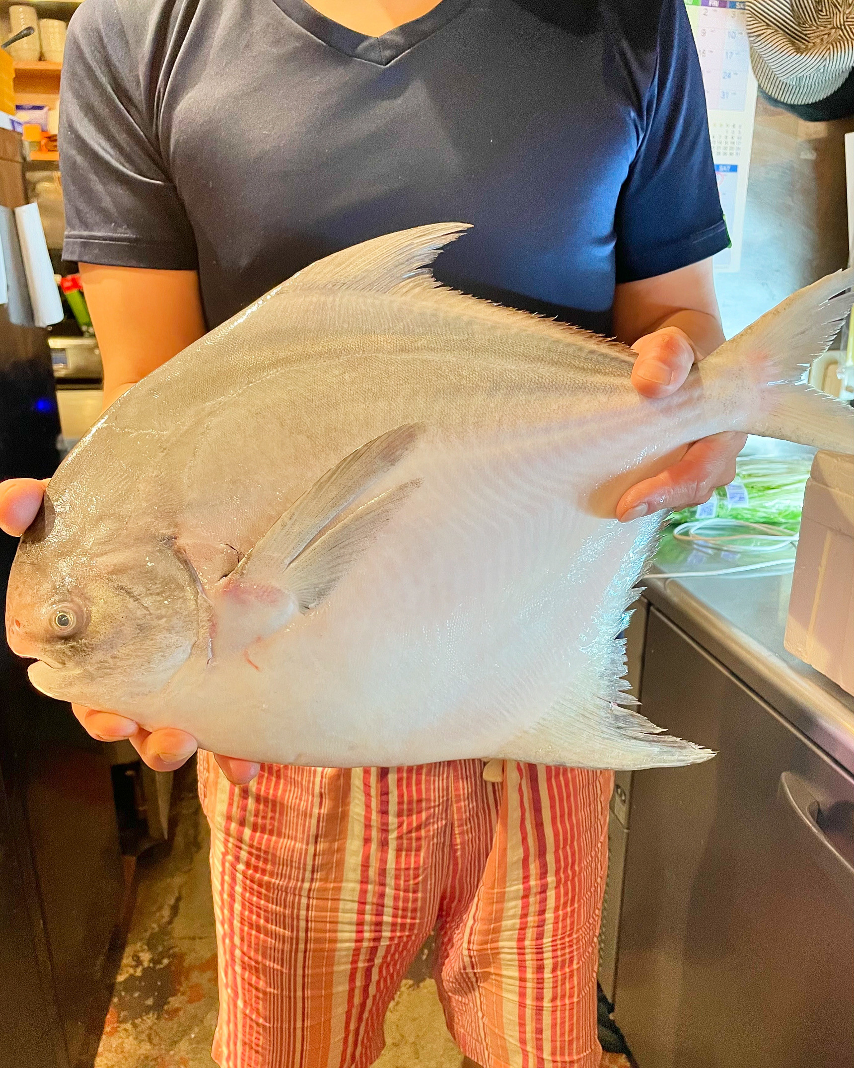 山口県産「マナカツオ」〜このBIGサイズは流石に美味しすぎます。ご予約お待ちしております〜