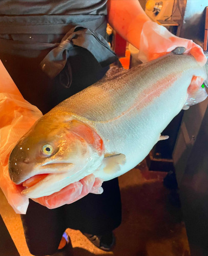 鳥取県琴浦産「とっとり琴浦グランサーモン」〜旨味と色鮮やかな食材です〜