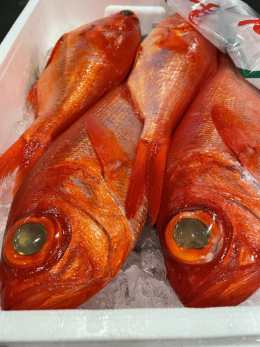 「伊豆の金目鯛」〜流石にこの時期の逸品になります〜