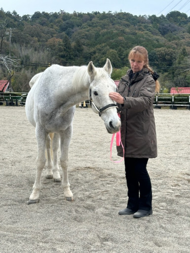 11月馬のワークショップ in 岐阜