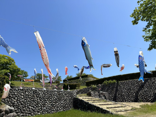 S__2097173.jpg