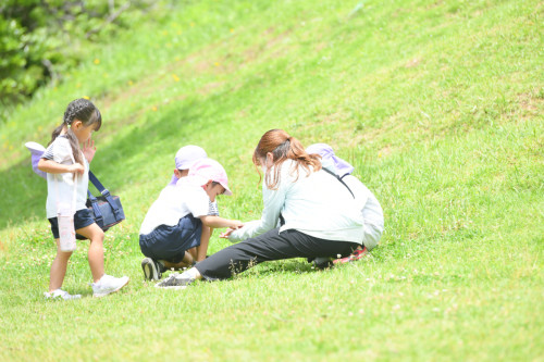 全ての 名刺 ハガキ パンフレット作製承ります。証明書のお写真もお任せください。