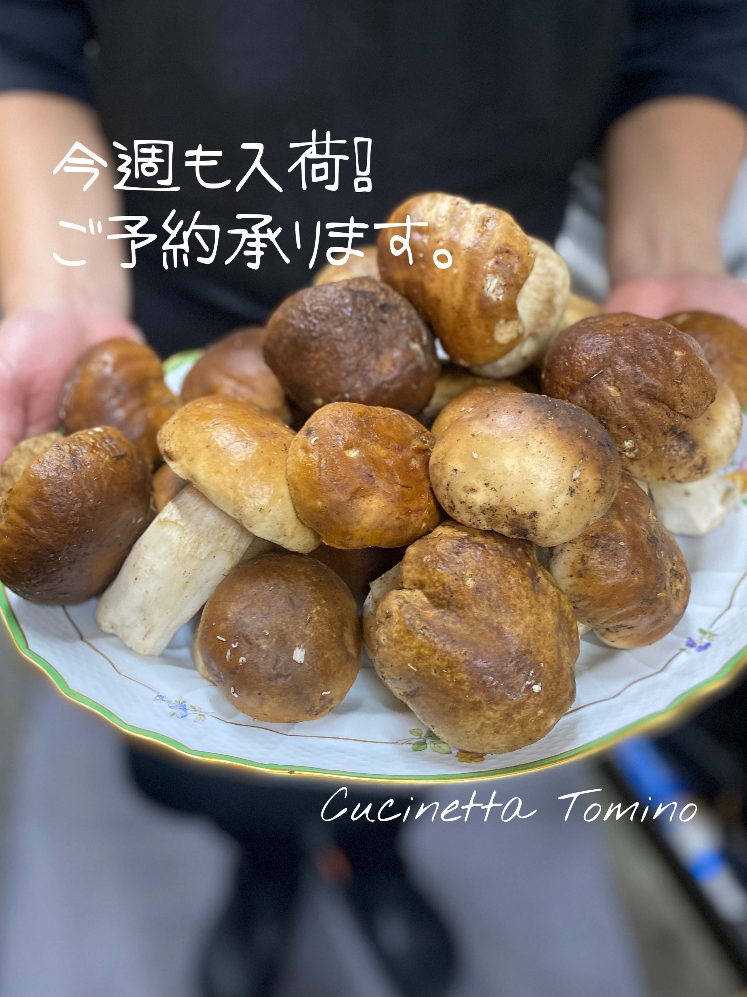 フレッシュポルチーニ茸