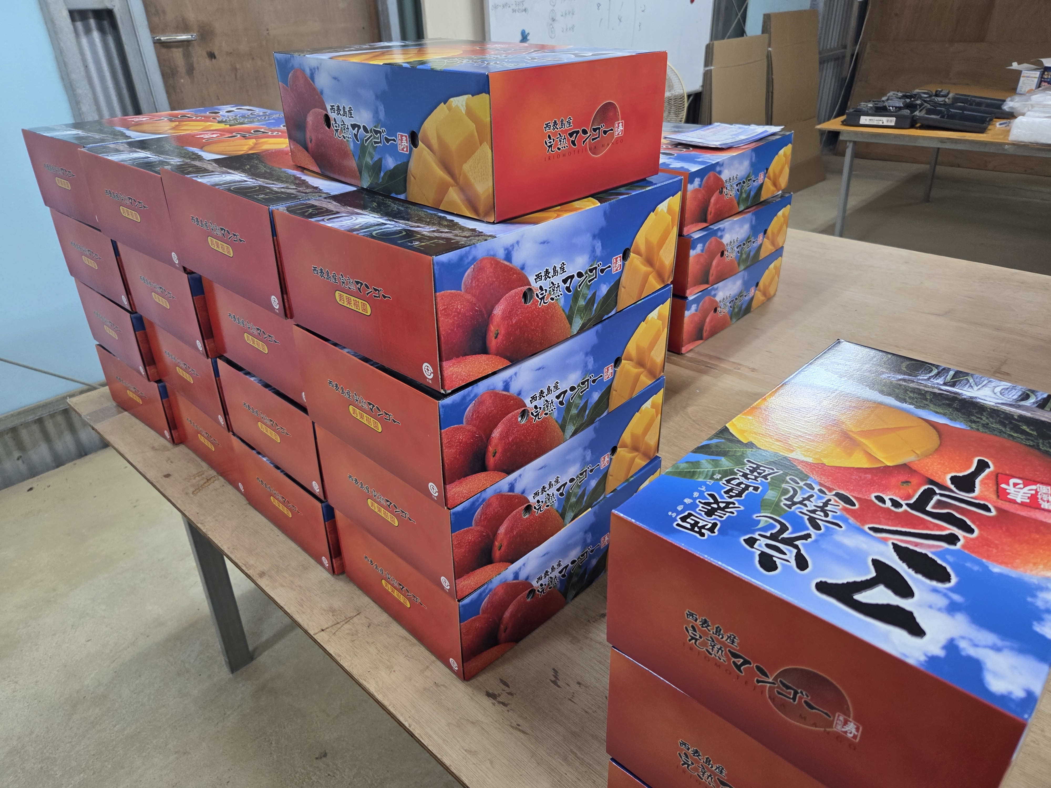 出荷が始まりました。