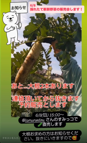 6/8(日)採れたて新鮮野菜販売!