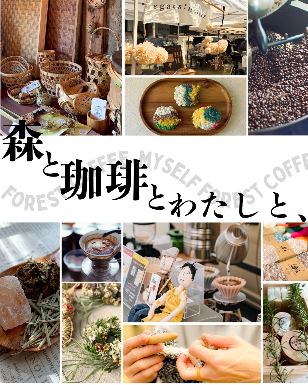 森と珈琲とわたしと、