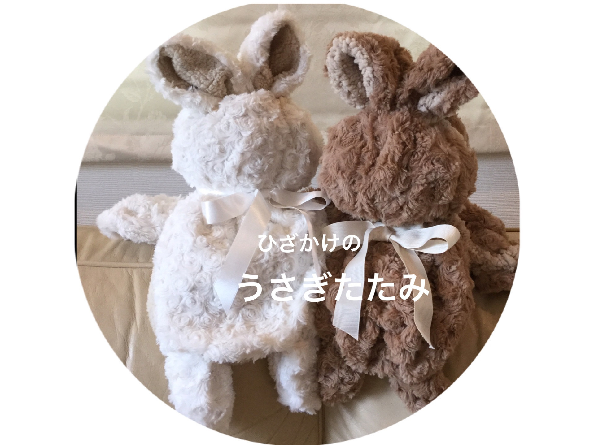 うさぎたたみ紹介してます　🔘