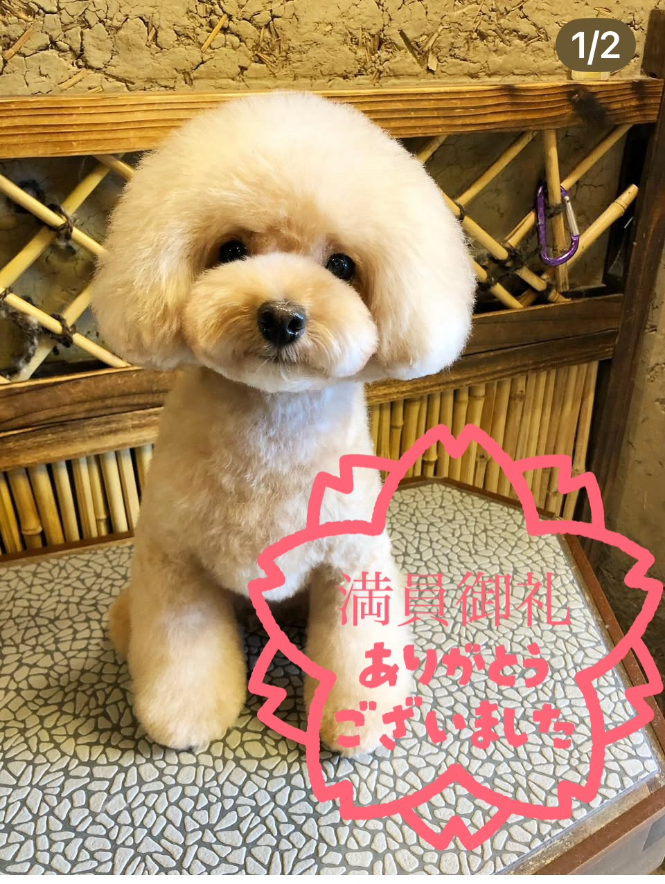 8/28は満席です。ありがとうございました