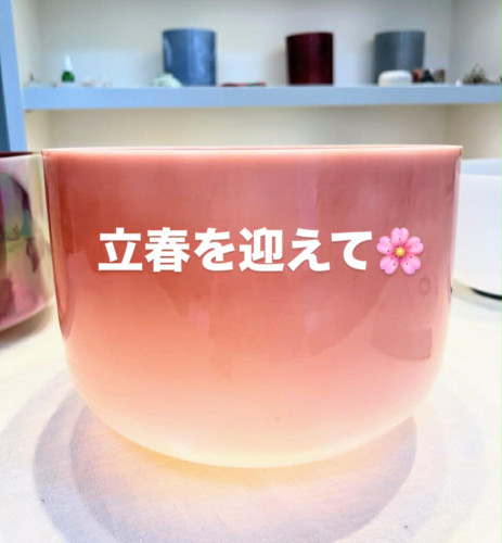 立春を迎えて🌸