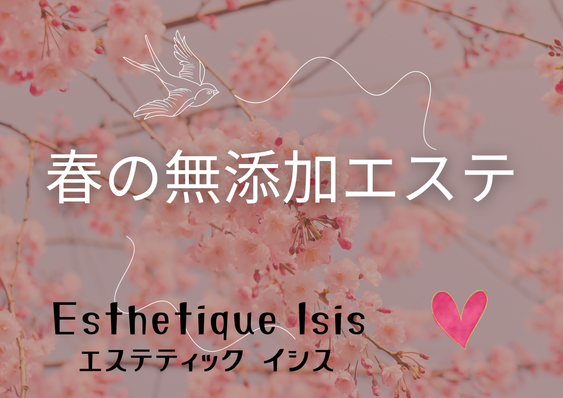 エステティックイシス