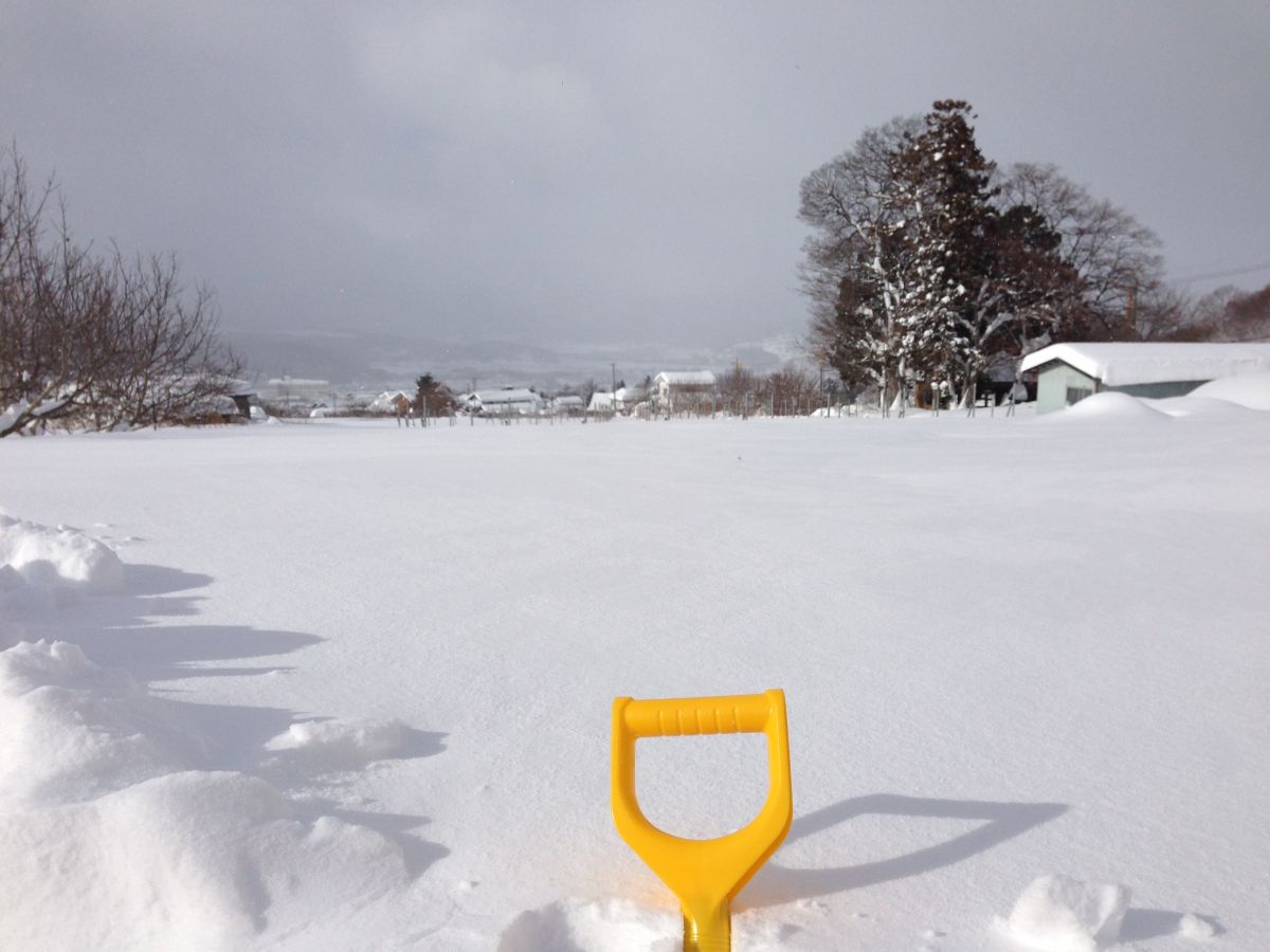 2014年2月の大雪　例年はせいぜい積もっても20cmなのに・・・　畑もすっぽり埋まりました