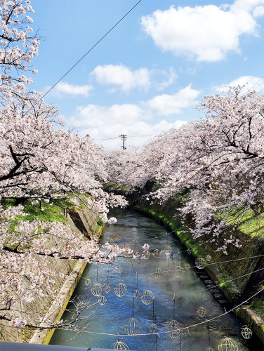fukuoka-photo02.png