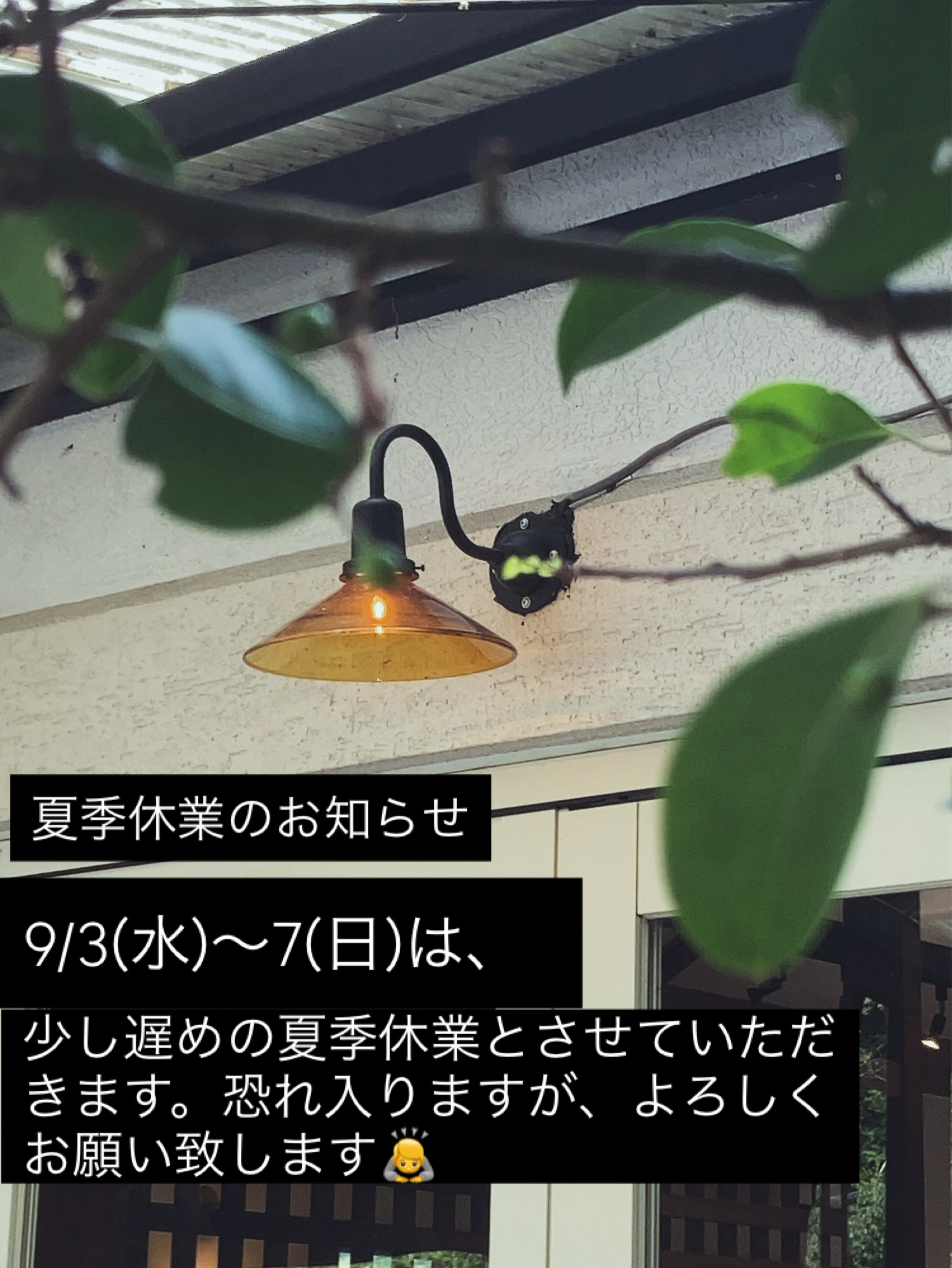夏季休業のお知らせ🌻