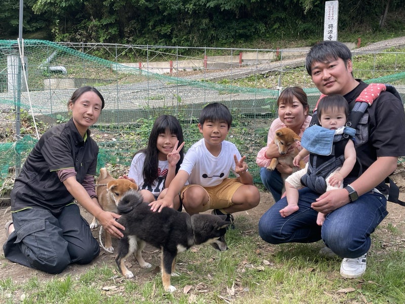ふれあい仔犬鑑賞会