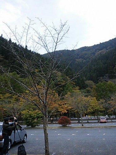 20161109_075240.jpg