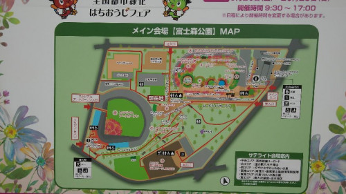 緑5.JPG