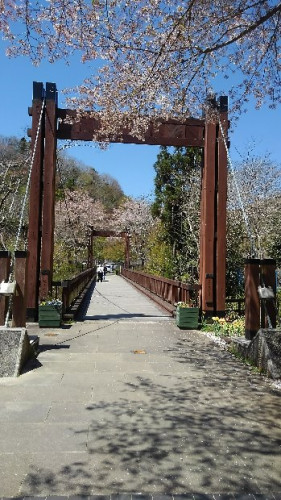 夕2.JPG