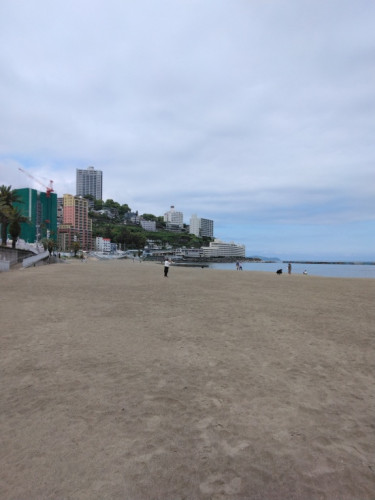 IMG_20240520_135301.jpg
