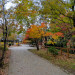 IMG_20241126_105433~2.jpg