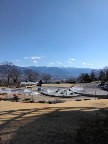 IMG_20250217_140806.jpg