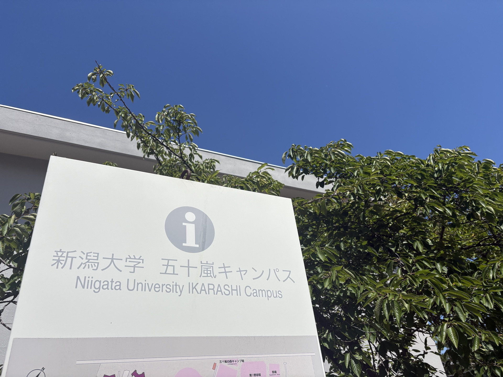 【大学授業】新潟大学での集中講義