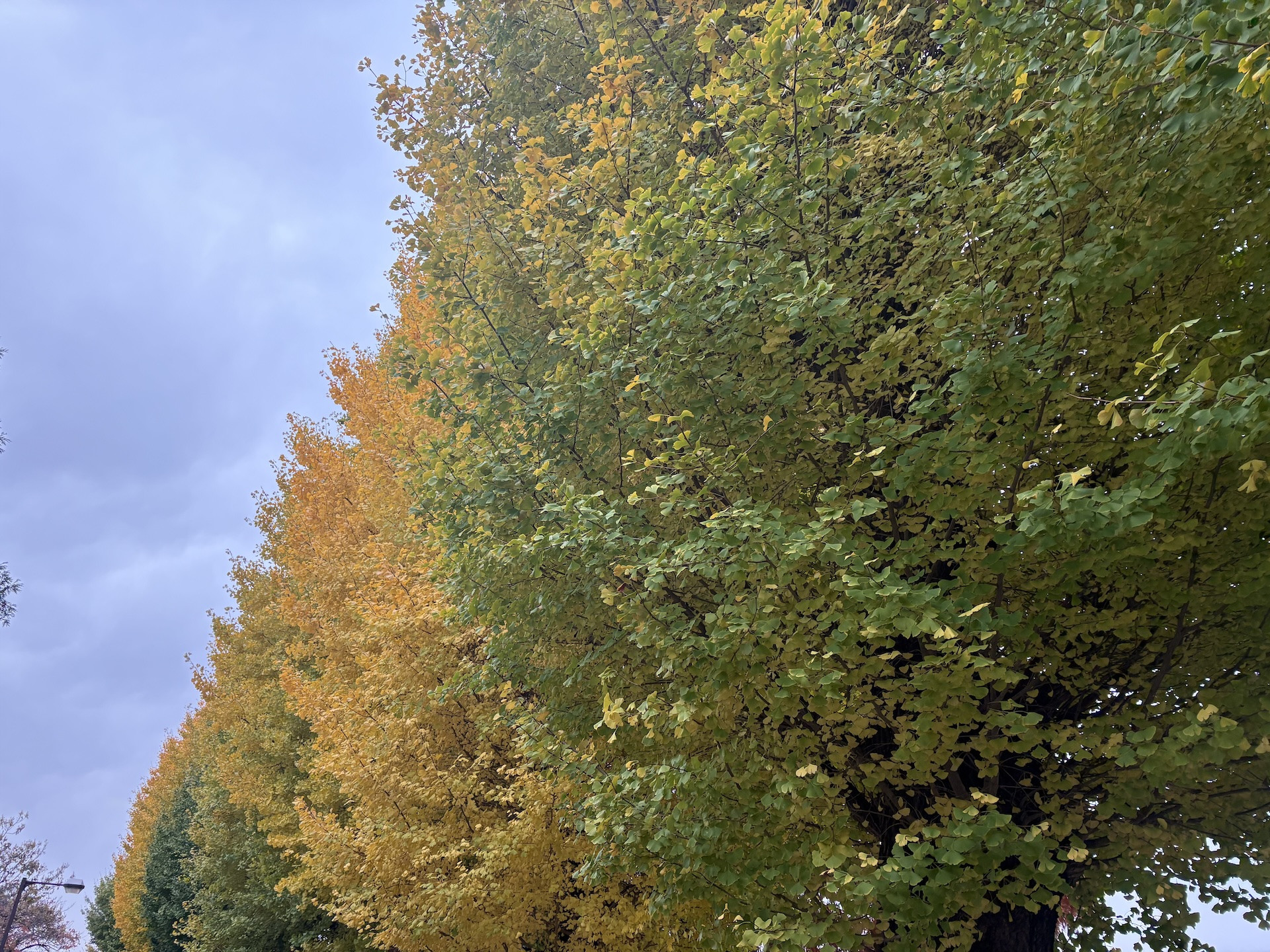【研究】関東方面の高校へ
