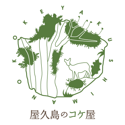 サイト引越し&新サービスの開始!