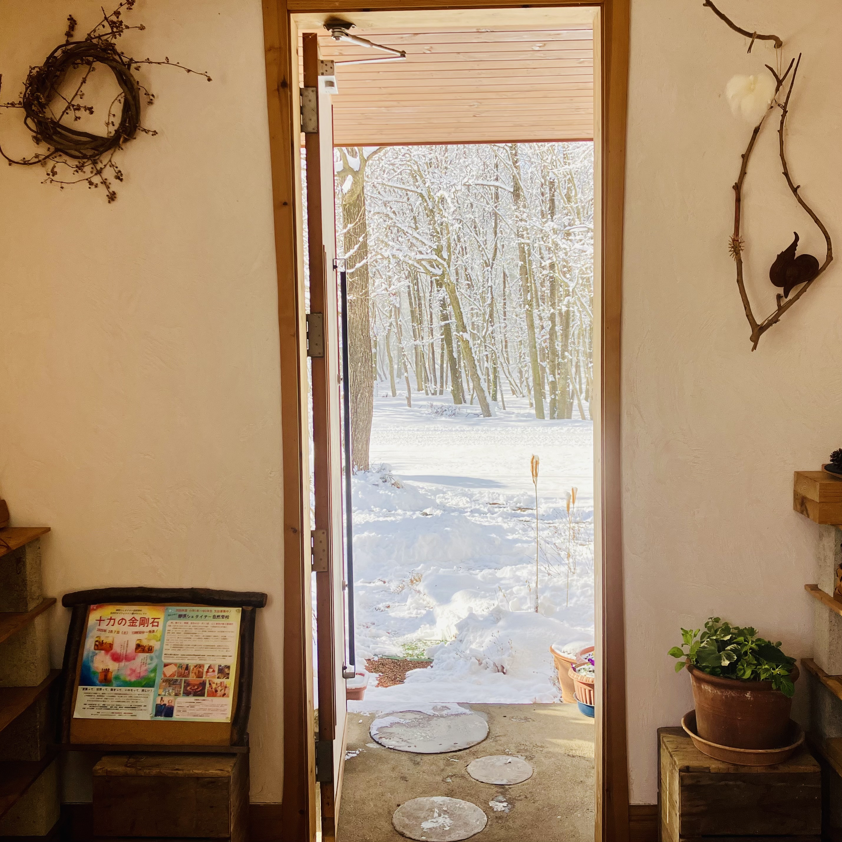 【2月のオイリュトミー予定】