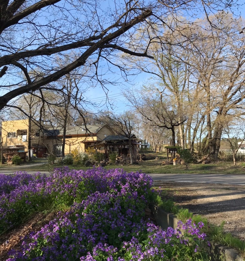 4月のオイリュトミー予定