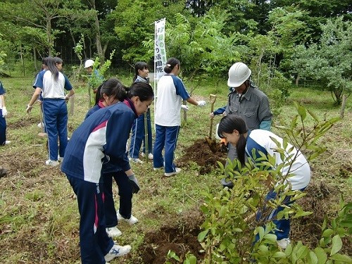不二聖心女子学院高校の森づくり活動（静岡県グリークバンク助成事業）