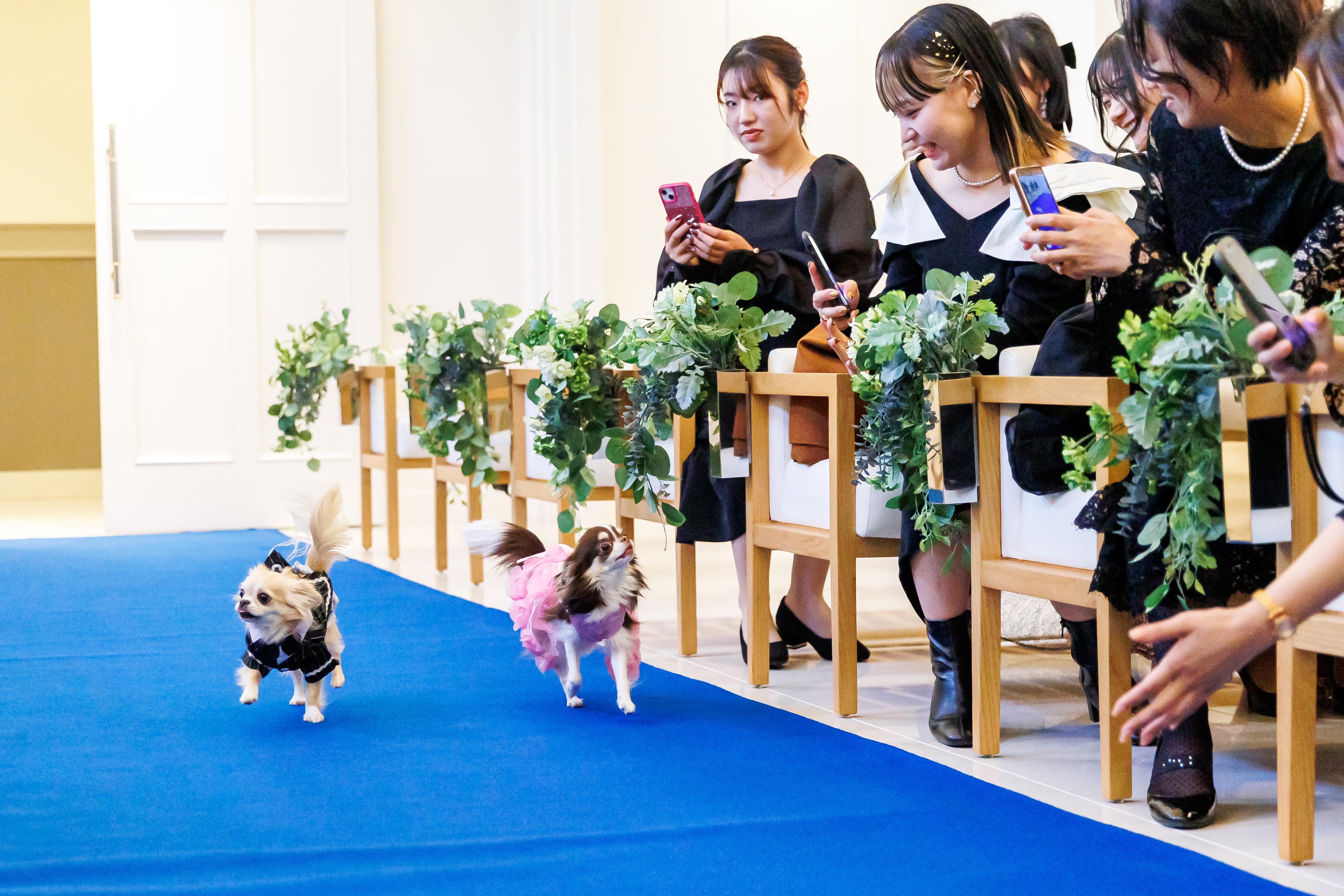 ペットと一緒に結婚式