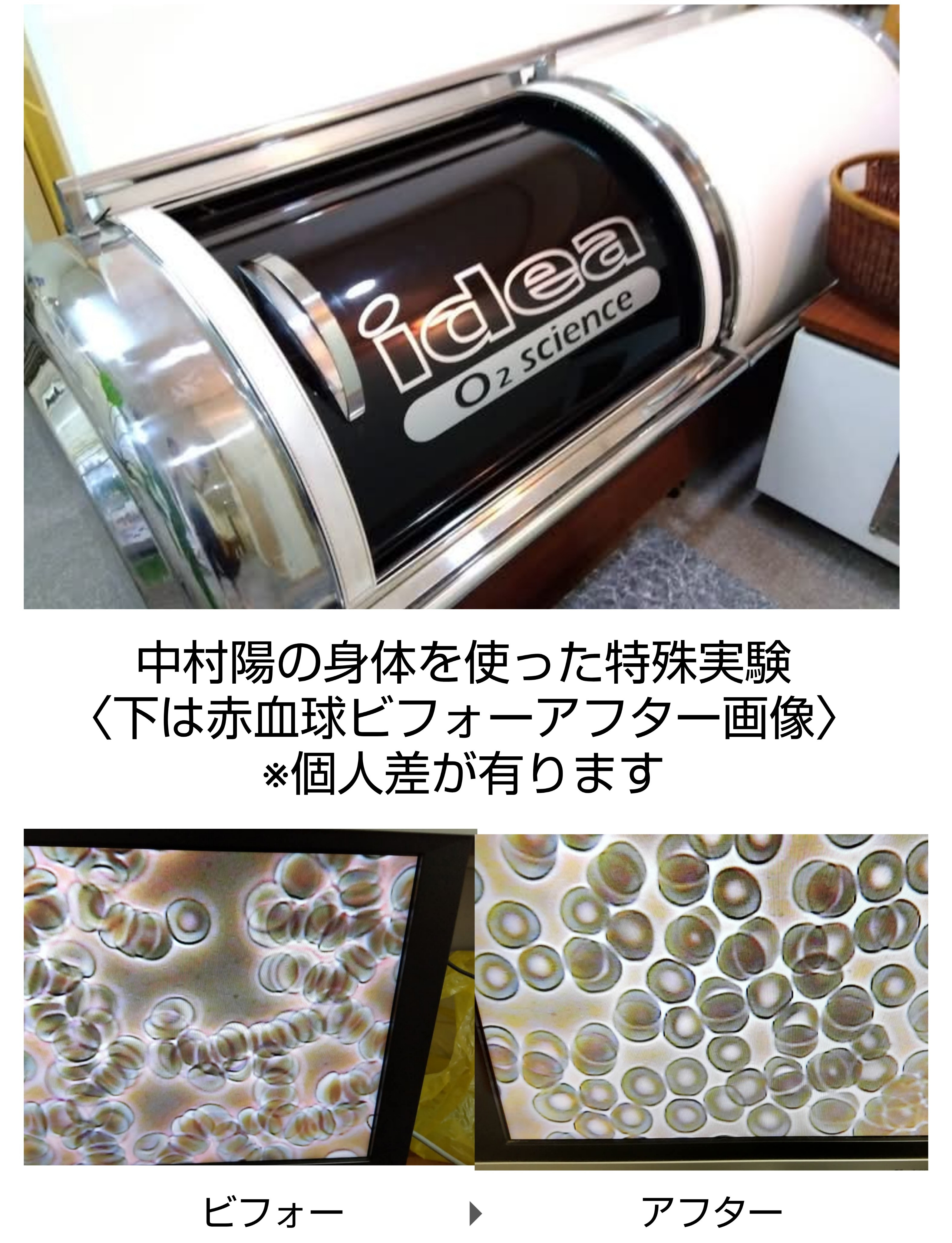 実験🔬