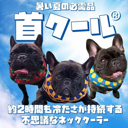 夏の暑さ対策グッズ首クールは約2時間も冷たさが持続する不思議なネッククーラーです