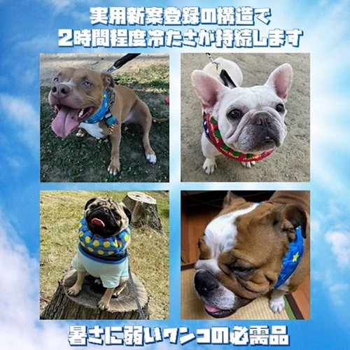 首クールは愛犬とのお散歩や外出の必需品です。