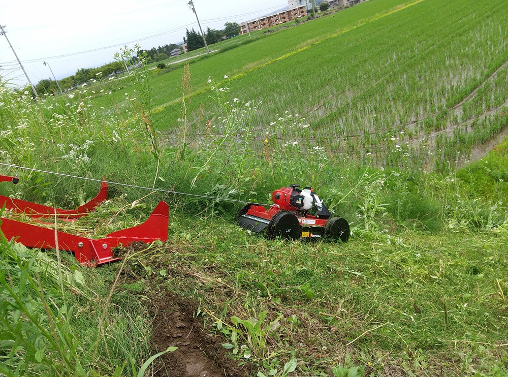 ベローン2.JPG