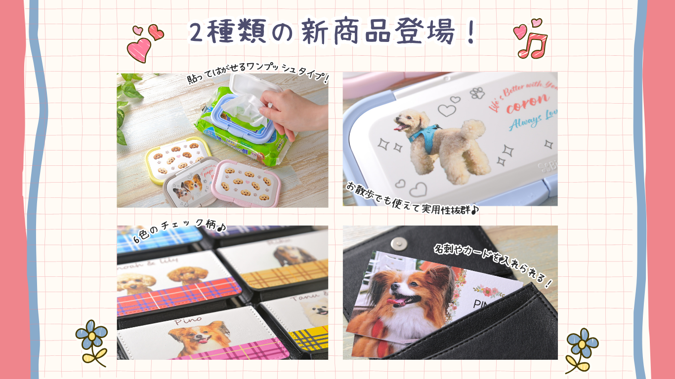 新商品発売‼