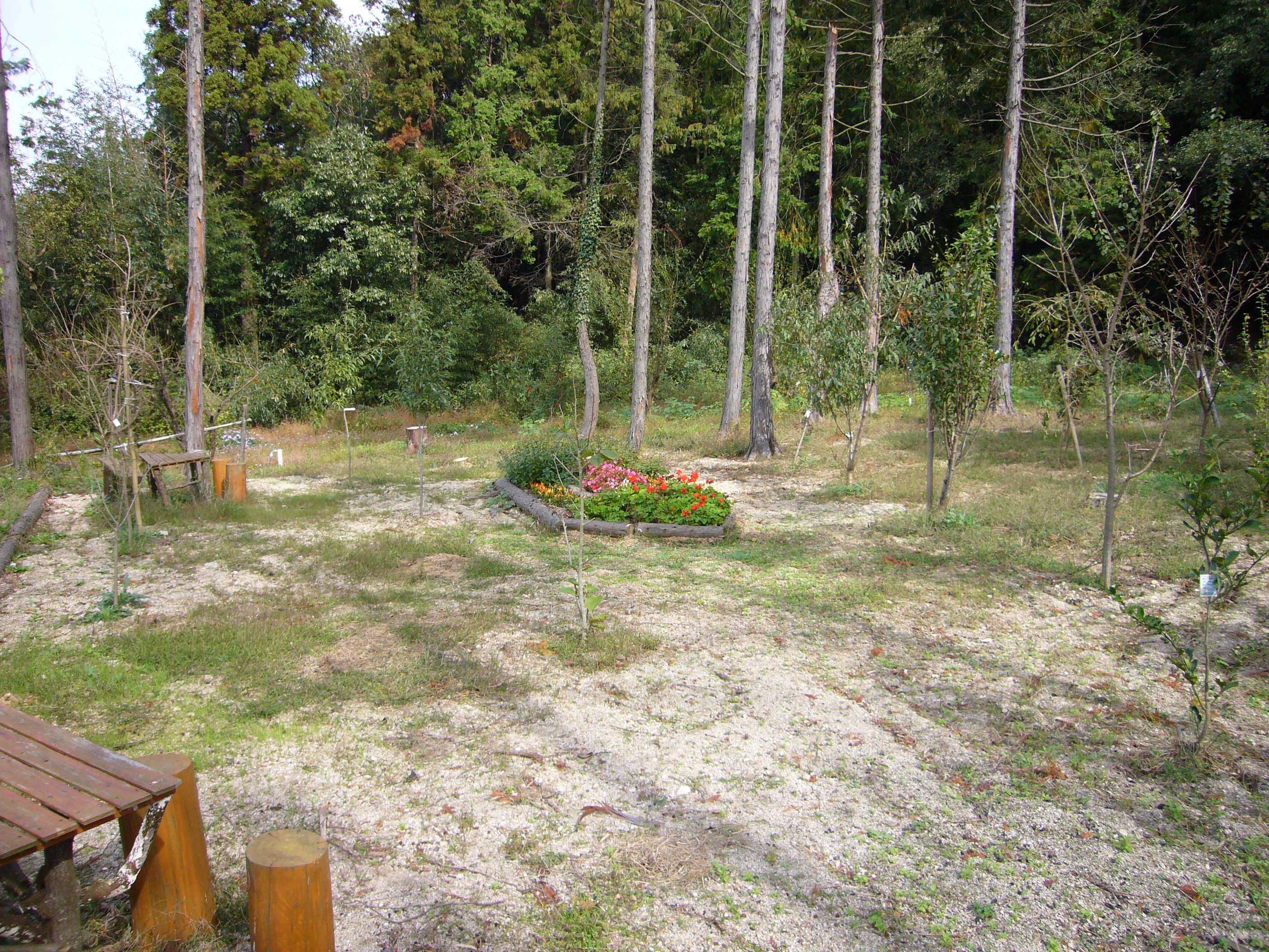 P1000111.JPG