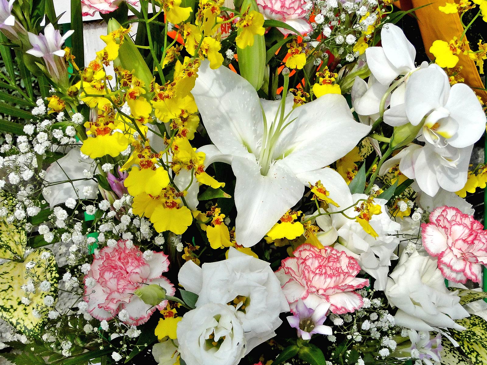 a1370_000431_m.jpg