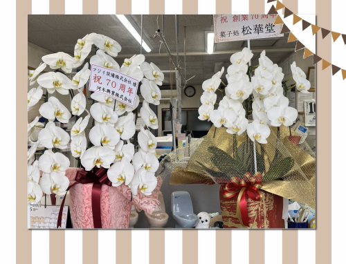 IMG_E9317.png