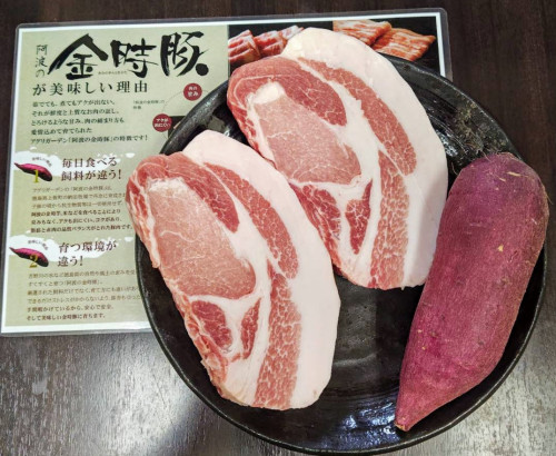 限定!「阿波の金時豚」とんかつ