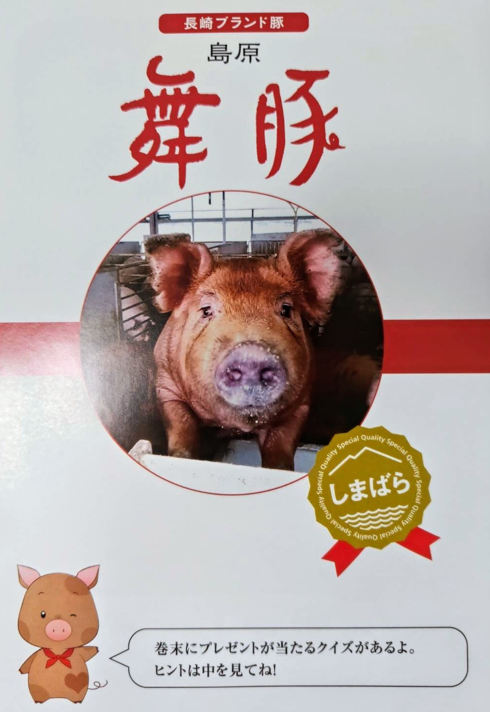 限定!「島原舞豚」とんかつ