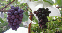 image3.gif