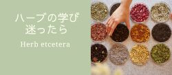 ハーブの学びを迷ったら
