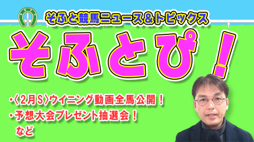 📢3/1(日)21時~✨ そふと競馬ニュース&トピックス!