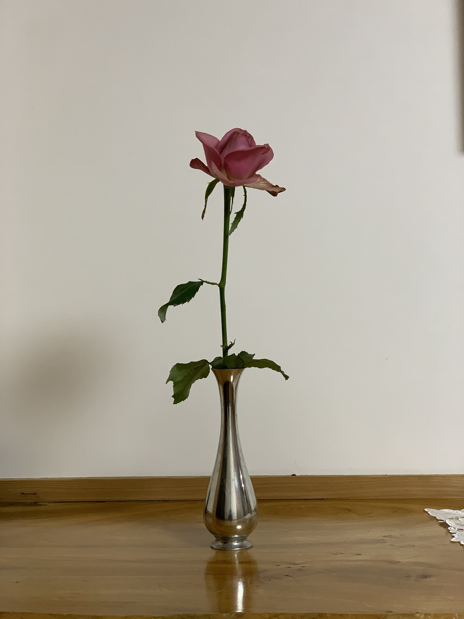 679BE975-A8DE-4545-BD54-E62A2D02B338.jpeg