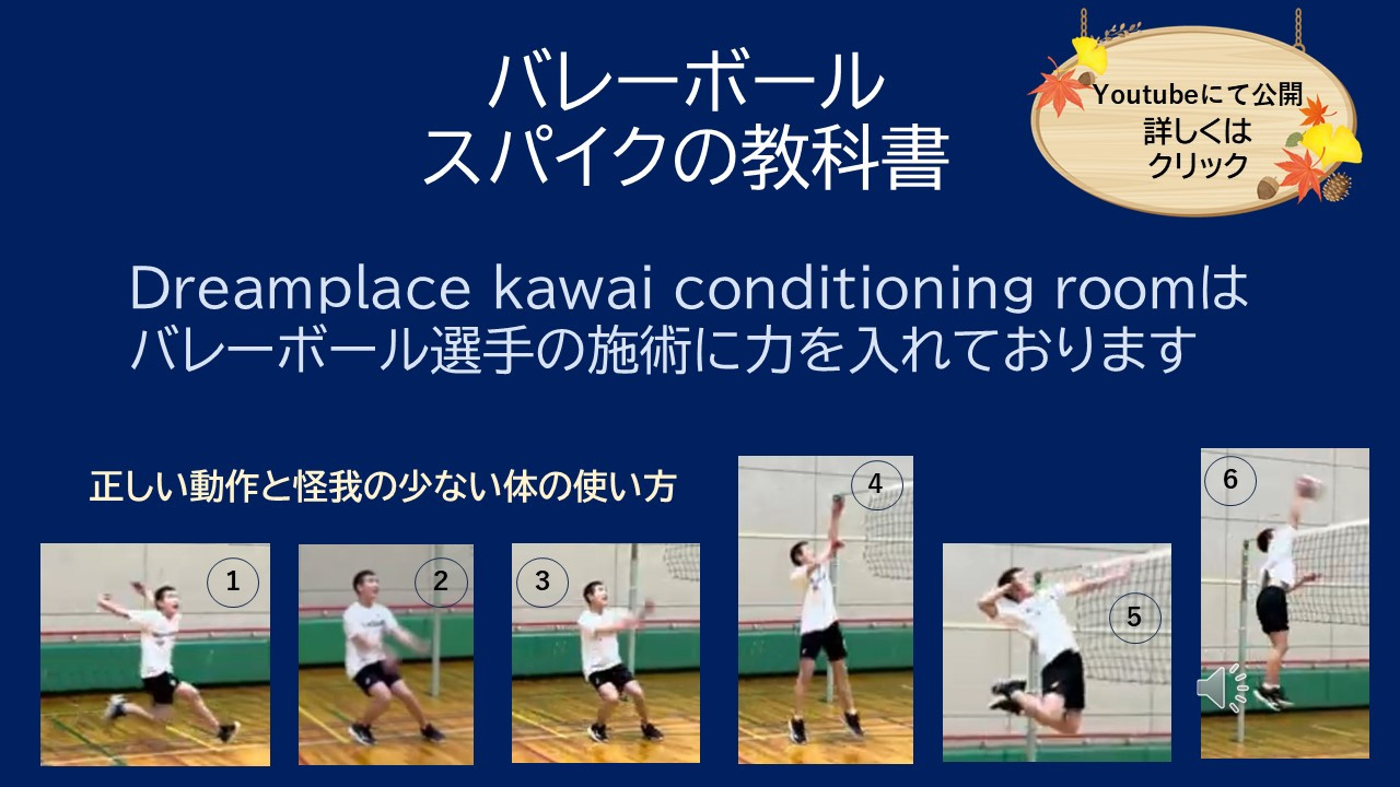 バレーボール選手の専門ページ